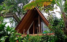 Eco Bedugul Adventurer Camp